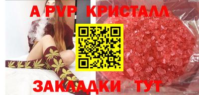 PSILOCYBIN Кингисепп